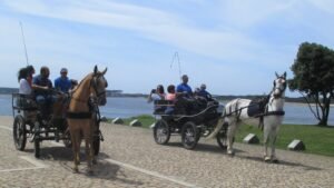passeio caleche