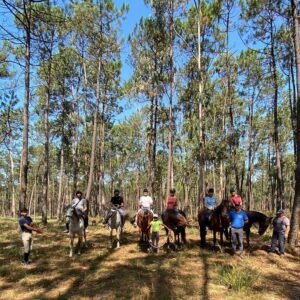 passeio cavalo pinheiros