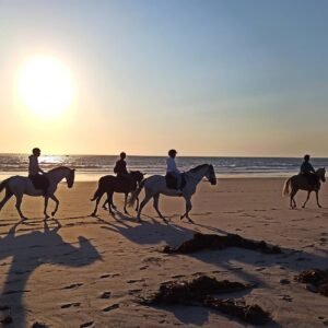 passeio cavalo praia