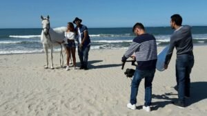 cavalo praia