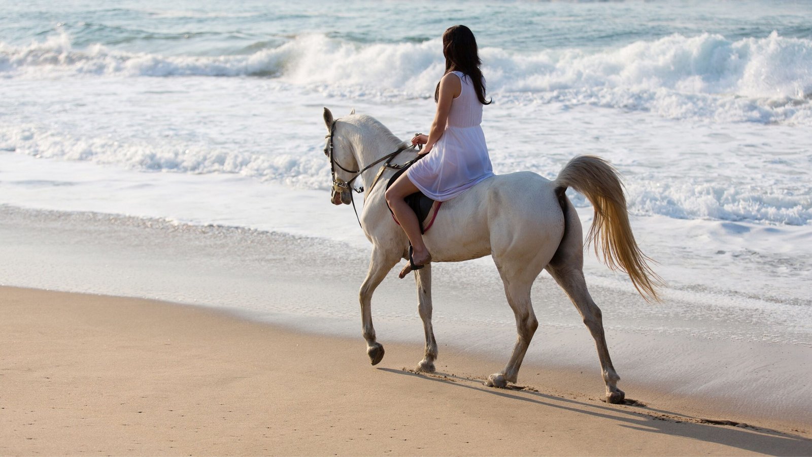 passeio cavalo praia