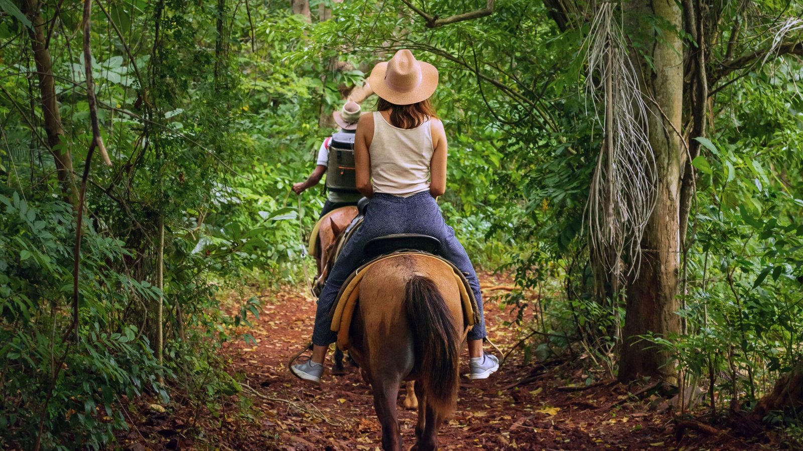 Passeio a cavalo