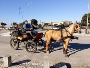 passeio caleche