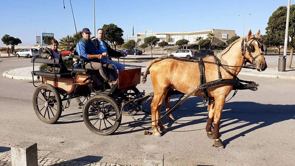 passeio caleche