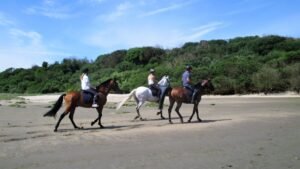 cavalos praia