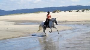 PASSEIO CAVALO PRAIA