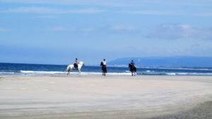 passeio cavalo praia