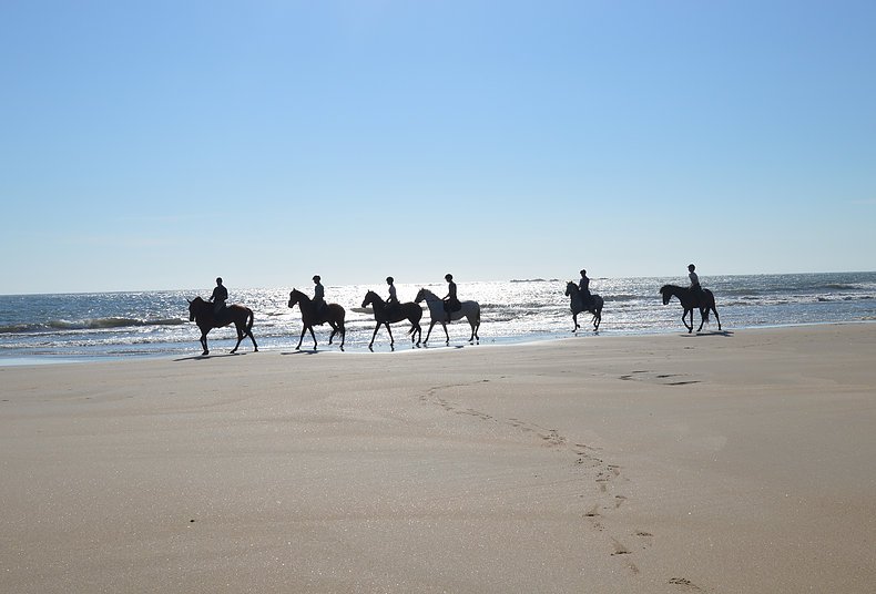 cavalo praia